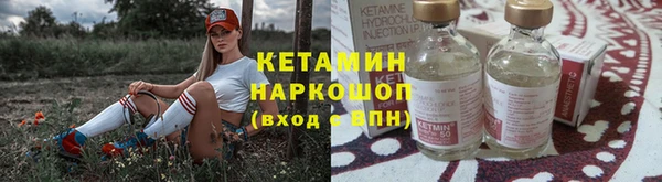 прущие грибы Рославль