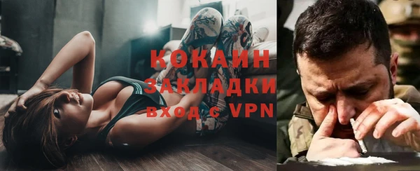 прущие грибы Рославль