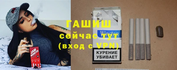 прущие грибы Рославль