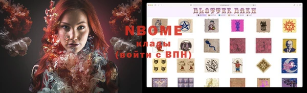 прущие грибы Рославль