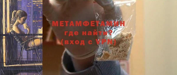 прущие грибы Рославль