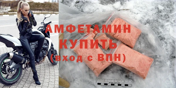 прущие грибы Рославль