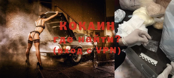 прущие грибы Рославль