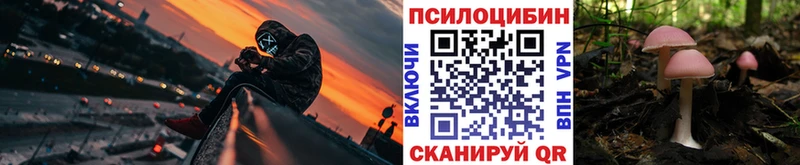 Псилоцибиновые грибы мухоморы  Санкт-Петербург 