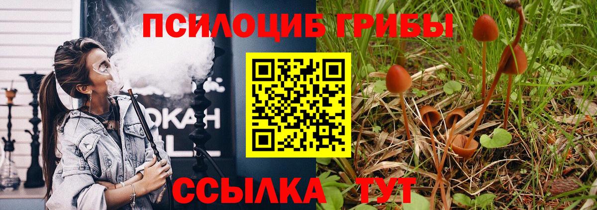 Санкт-Петербург  Галлюциногенные грибы MAGIC MUSHROOMS  Вход с VPN 