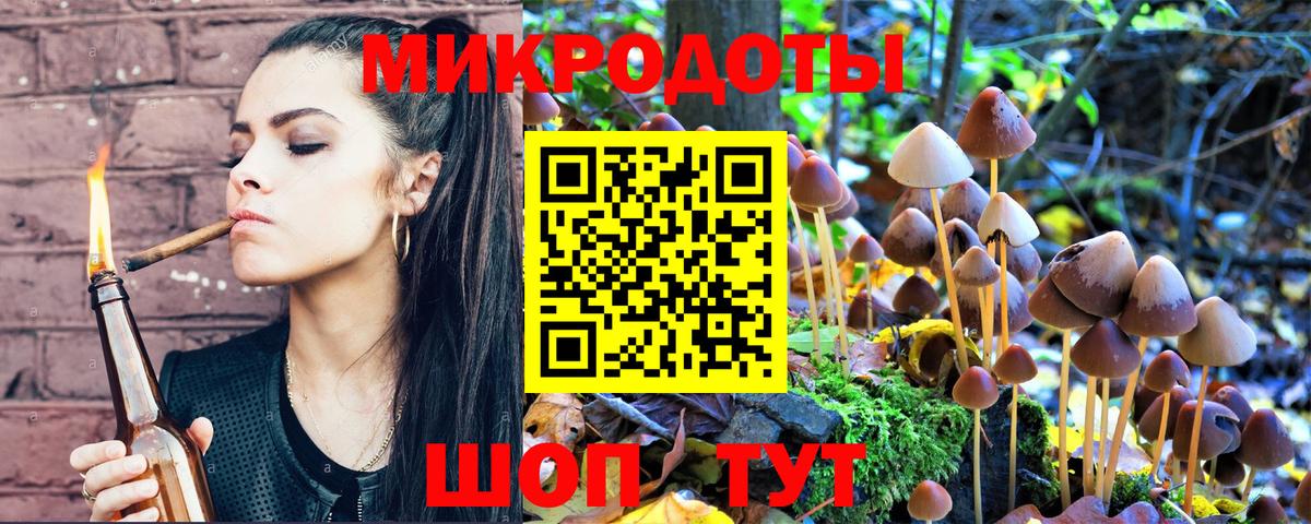 Псилоцибиновые грибы прущие грибы Санкт-Петербург