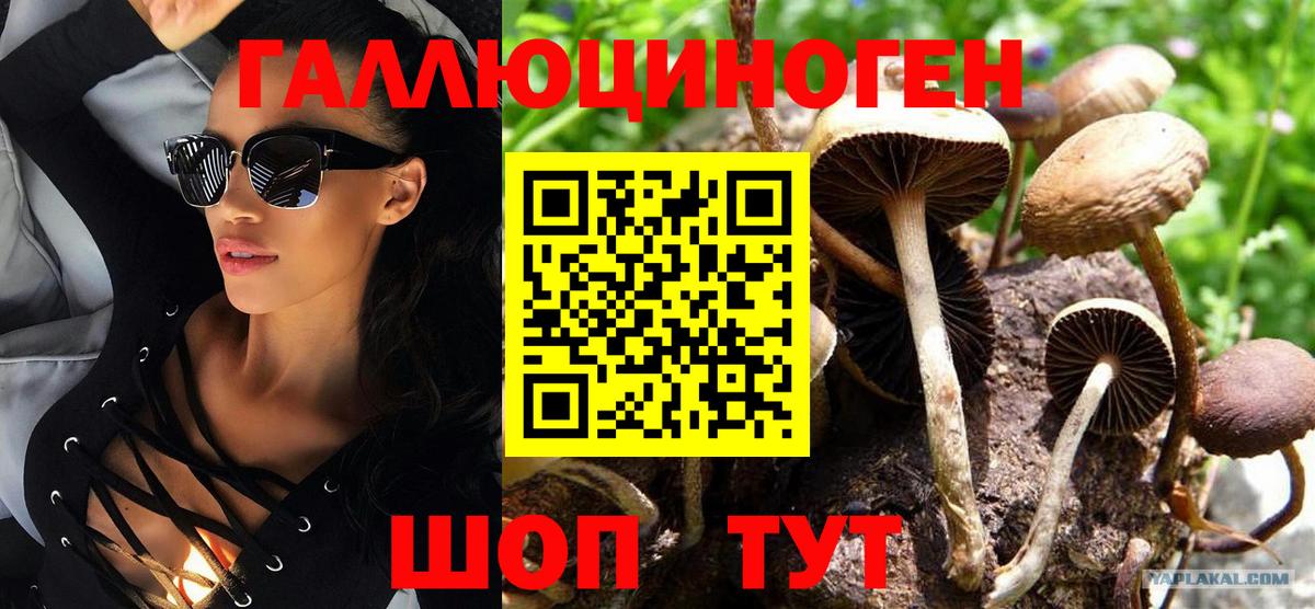 Псилоцибиновые грибы прущие грибы  где купить наркоту  Санкт-Петербург  Галлюциногенные грибы Magic Shrooms 