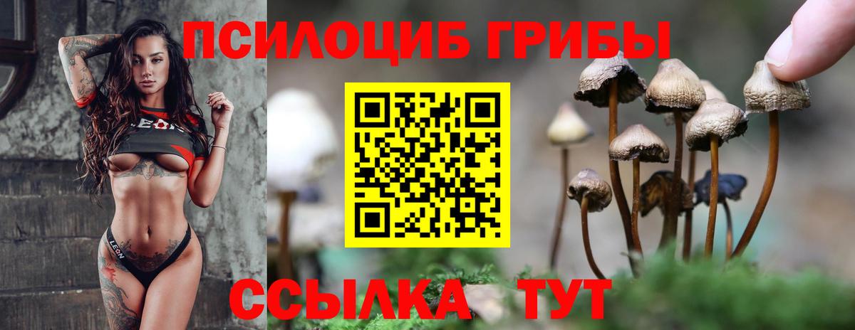 Псилоцибиновые грибы Санкт-Петербург